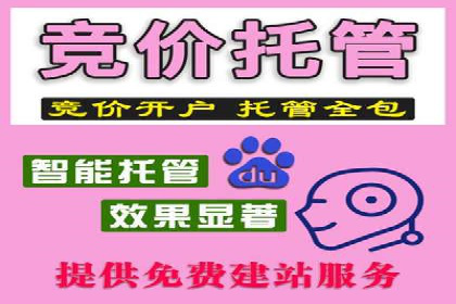 百度联盟推广网络覆盖的案例研究